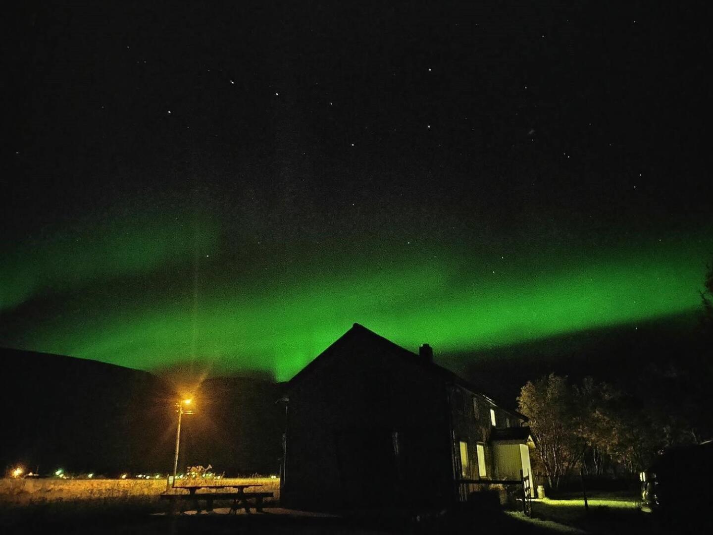 Fredvang Farm House - Lofoten Exterior foto
